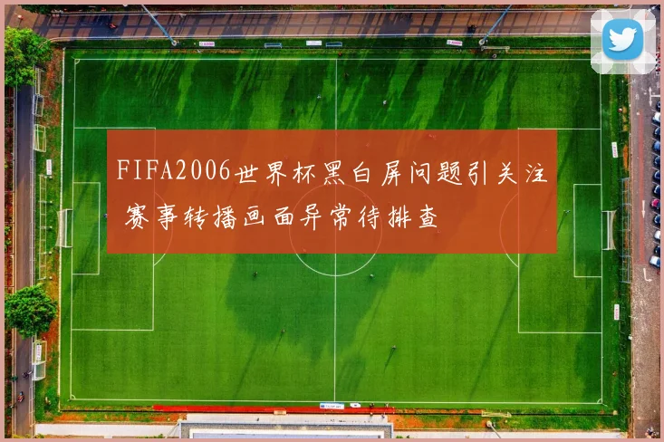 FIFA2006世界杯黑白屏问题引关注 赛事转播画面异常待排查