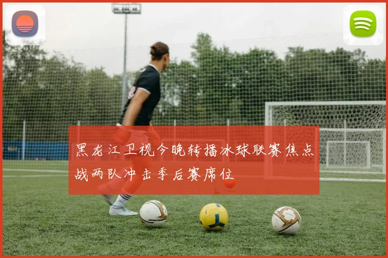 黑龙江卫视今晚转播冰球联赛焦点战两队冲击季后赛席位