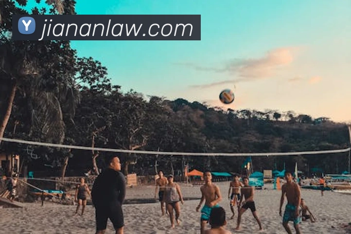 世界杯官网登录appAPP 封面图